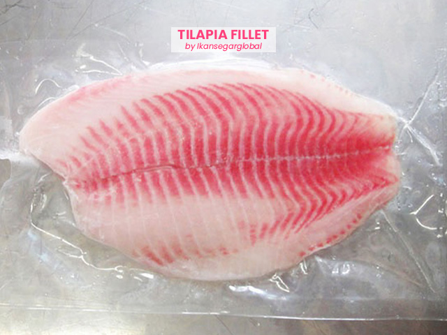 High Quality Frozen Tilapia Fillets